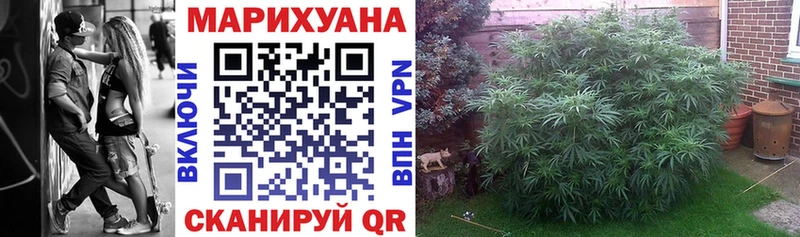 Шишки марихуана Amnesia  Купить  Подпорожье 
